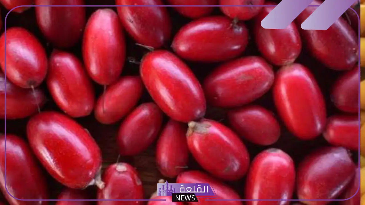 حلم رؤية البلح في المنام