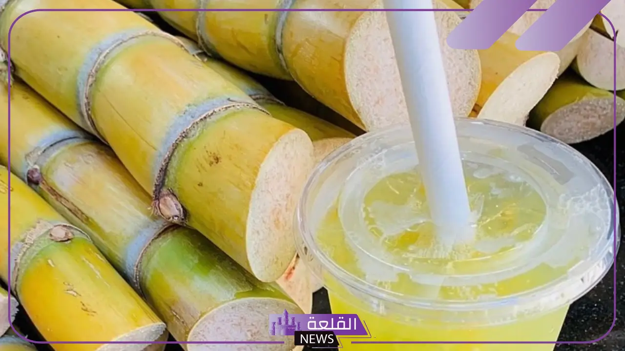 تفسير حلم رؤية القصب في المنام وعلاقته بكسب المال والمكاسب تفسير حلم رؤية القصب في المنام وعلاقته بكسب المال والمكاسب