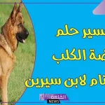 تفسير حلم عضة الكلب في المنام لابن سيرين والنابلسي