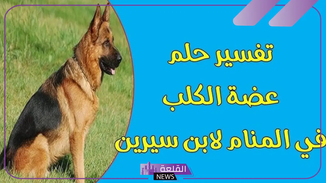 تفسير حلم عضة الكلب في المنام لابن سيرين والنابلسي