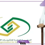 هل الخبر حقيقي؟ زيادة رواتب الضمان الاجتماعي 1000 ريال بأمر ملكي بمناسبة اليوم الوطني