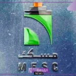 مسك.. الإعلان عن انتهاء وتوقف الخسائر المتراكمة والبدء بتحقيق الأرباح