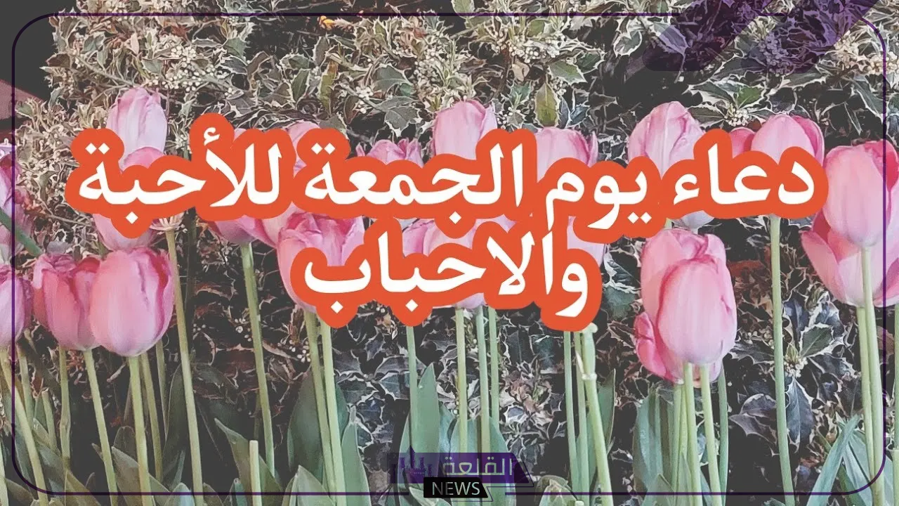 دعاء يوم الجمعة للاحبه قصير .. دعاء الجمعة للأحباب والأقارب 6 أفضل دعاء في يوم الجمعة