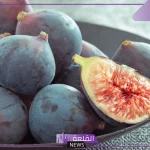 تفسير حلم اكل التين في المنام للعزباء والمتزوجة لابن سيرين