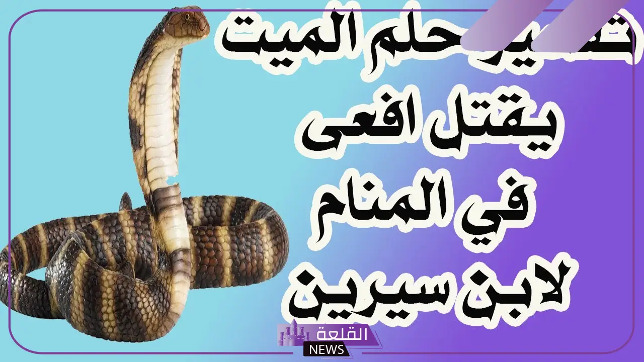 تفسير حلم قتل الثعبان في المنام لابن سيرين.. حلمت بثعبان 5 تفسير رؤية الثعبان في الحلم