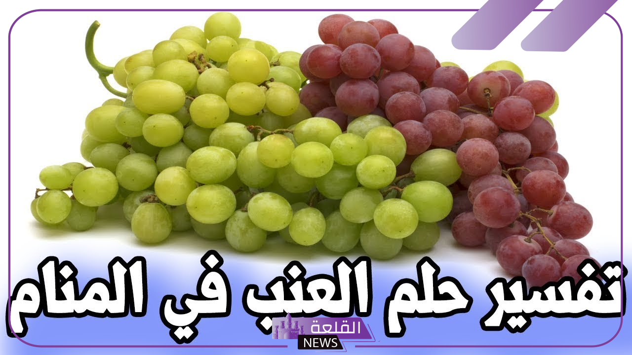 تفسير حلم العنب في المنام لابن سيرين للعزباء والمطلقة والحامل 5 العنب في المنام للمتزوجة لابن سيرين