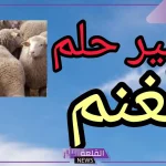 تفسير حلم الغنم في المنام لابن سيرين للعزباء والمتزوجة والمطلقة