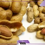 تفسير حلم اكل الفول السوداني في المنام للعزباء والمتزوجة لابن سيرين