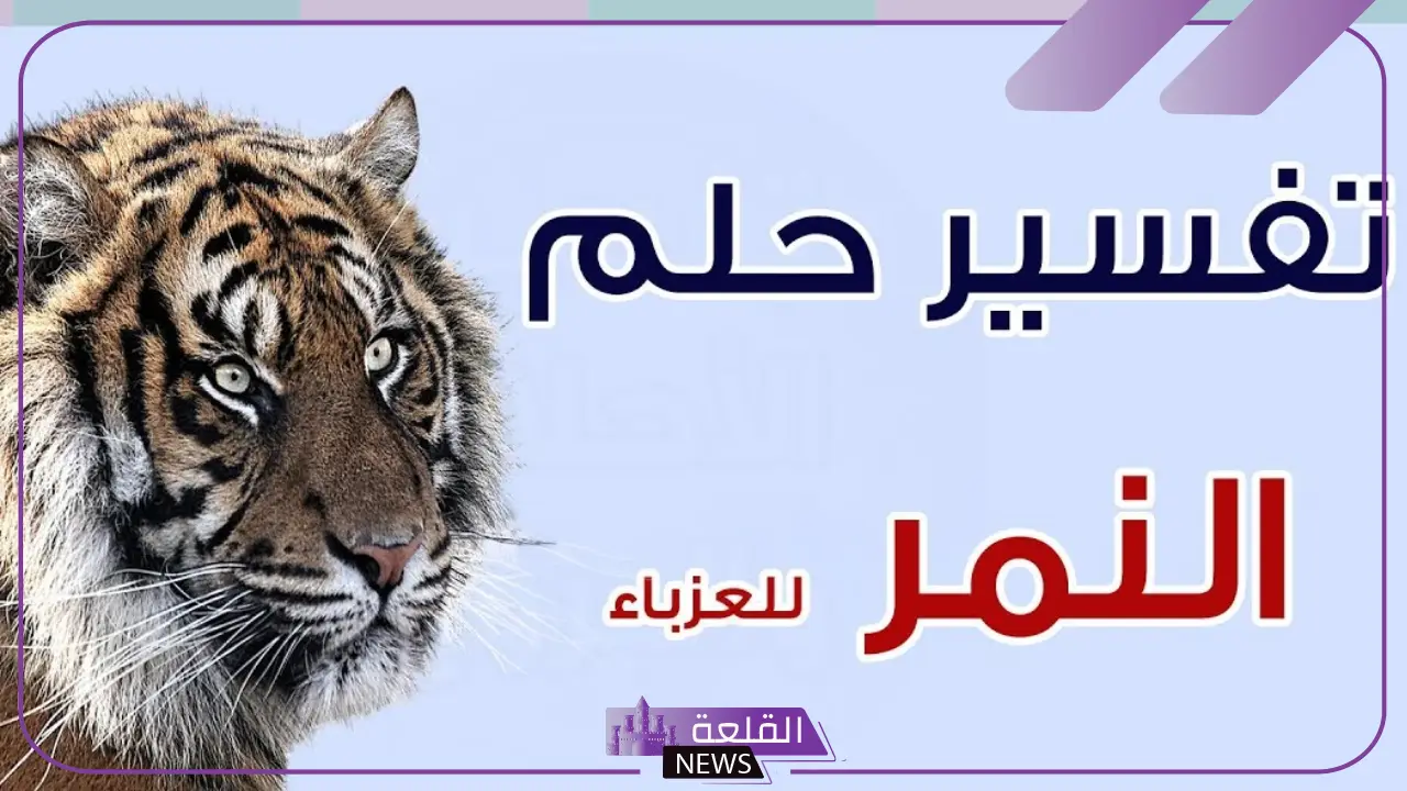 تفسير حلم النمر يهجم علي في المنام لابن سيرين 5 معنى حلم النمر للرجل