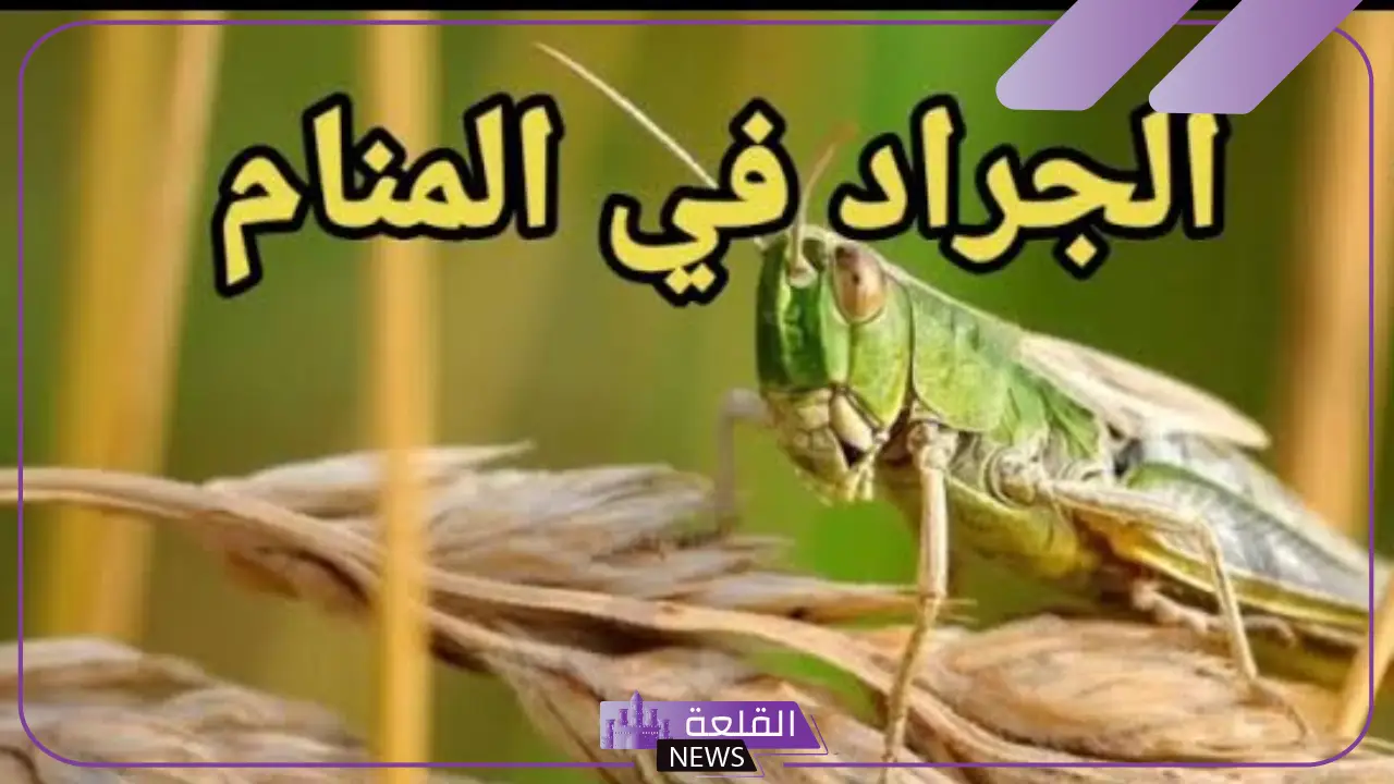 تفسير حلم الجراد في المنام وعلاقته بكثرة المشاكل والهموم