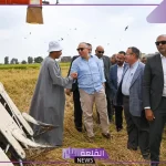 لدعم الزراعة.. مصر تبدأ بتنفيذ أول تجربة لزراعة الأرز الموفر للمياه
