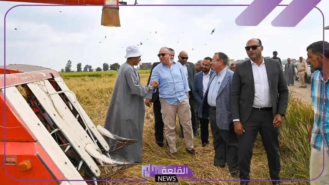 لدعم الزراعة.. مصر تبدأ بتنفيذ أول تجربة لزراعة الأرز الموفر للمياه