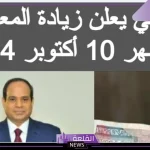 التأمينات الاجتماعية.. حقيقة وجود زيادة على رواتب المتقاعدين دفعة شهر أكتوبر