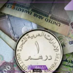 كم سعر الدرهم؟ سعر صرف الدرهم الإماراتي مقابل الجنيه المصري اليوم الأحد 8 سبتمبر 2024