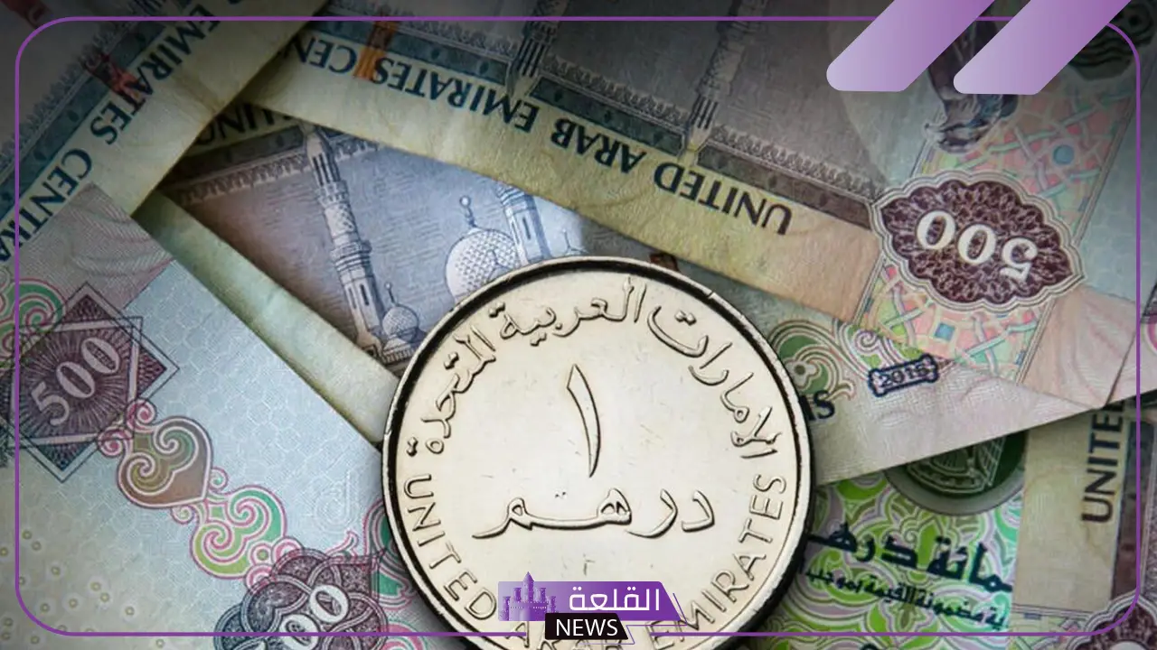 كم سعر الدرهم؟ سعر صرف الدرهم الإماراتي مقابل الجنيه المصري اليوم الأحد 8 سبتمبر 2024