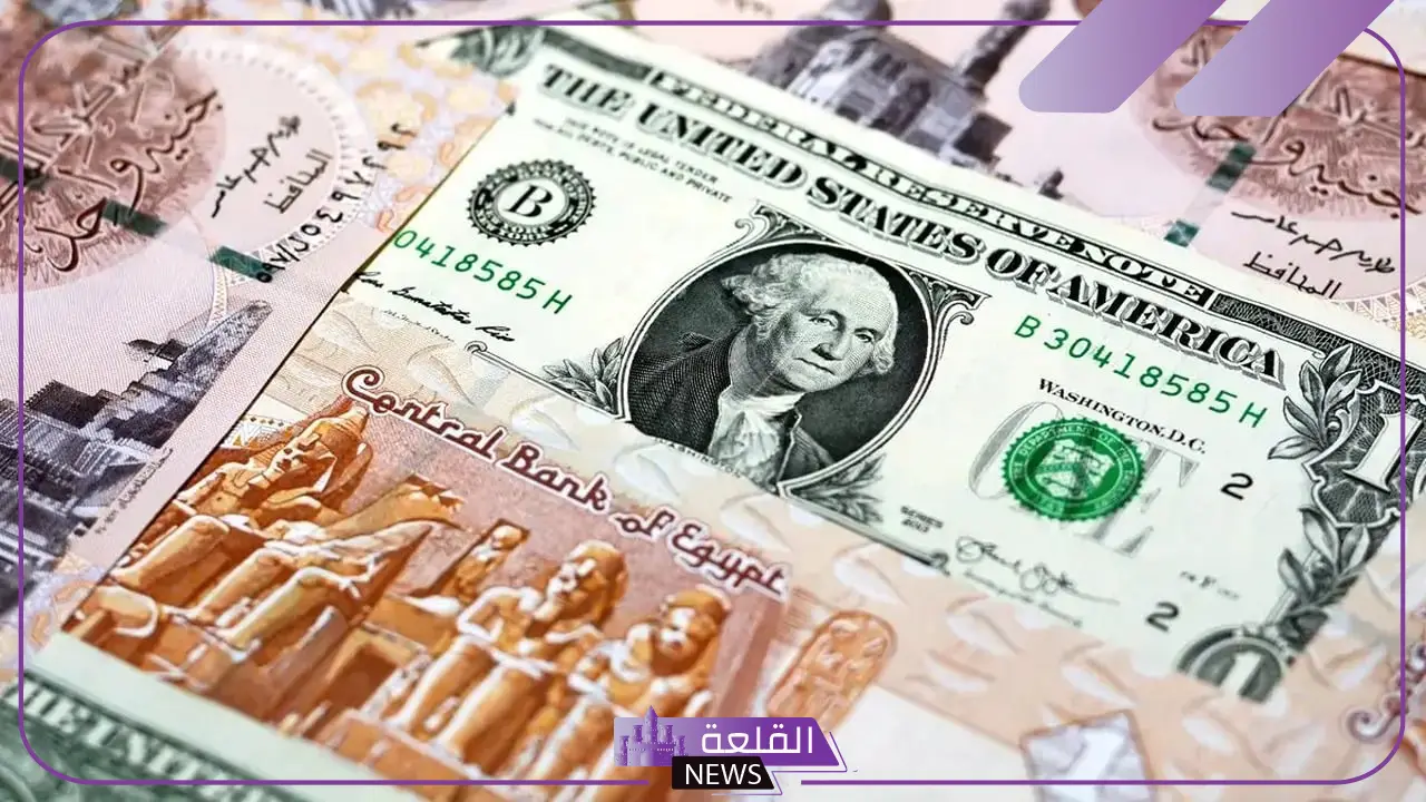 الدولار وصل كم؟ سعر شراء الدولار الأمريكي مقابل الجنيه المصري اليوم