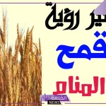 تفسير حلم القمح في المنام لابن سيرين.. دلالة رؤية سنابل القمح
