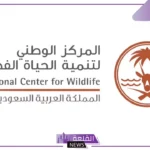الحياة الفطرية.. انطلاق موسم الصيد في السعودية بالضوابط ومناطق الصيد
