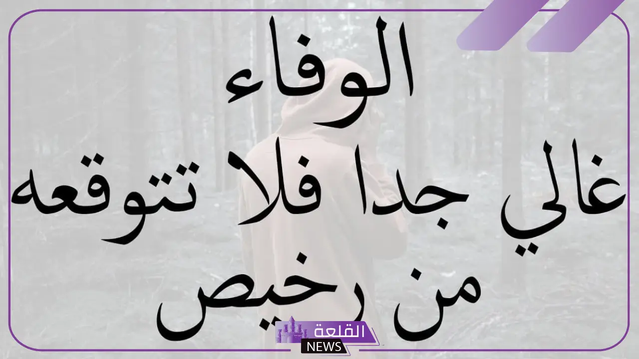 عبارات حلوه وقصيرة للأحباب.. أجمل العبارات القصيرة 5 عبارات حلوه وقصيره قصيرة