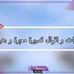 عبارات حلوه وقصيرة للأحباب.. أجمل العبارات القصيرة
