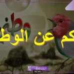 عبارات عن الوطن قصيرة جميلة.. 7 عبارات في حب الوطن