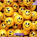 عبارات مضحكة عن الحياة .. كلمات خفيفة مضحكة