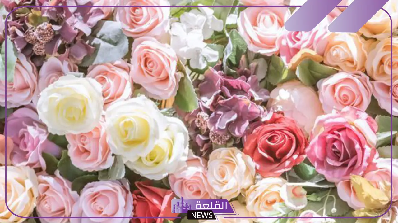 عبارات عن الورد الأبيض جميلة.. أجمل كلام عن الورد 5 عبارات جميلة ومبهرة في وصف الورود