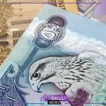 الدرهم بكم اليوم؟ سعر شراء الدرهم الإماراتي أمام الجنيه المصري اليوم في البنك المركزي