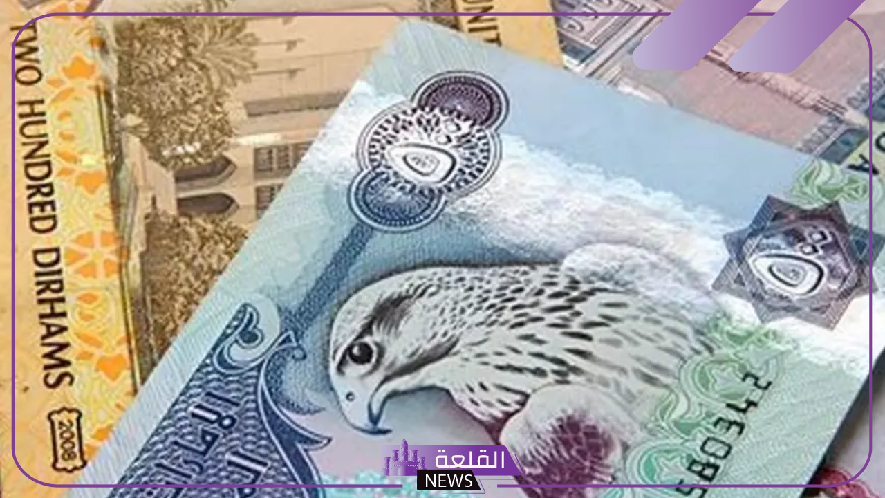 الدرهم بكم اليوم؟ سعر شراء الدرهم الإماراتي أمام الجنيه المصري اليوم في البنك المركزي
