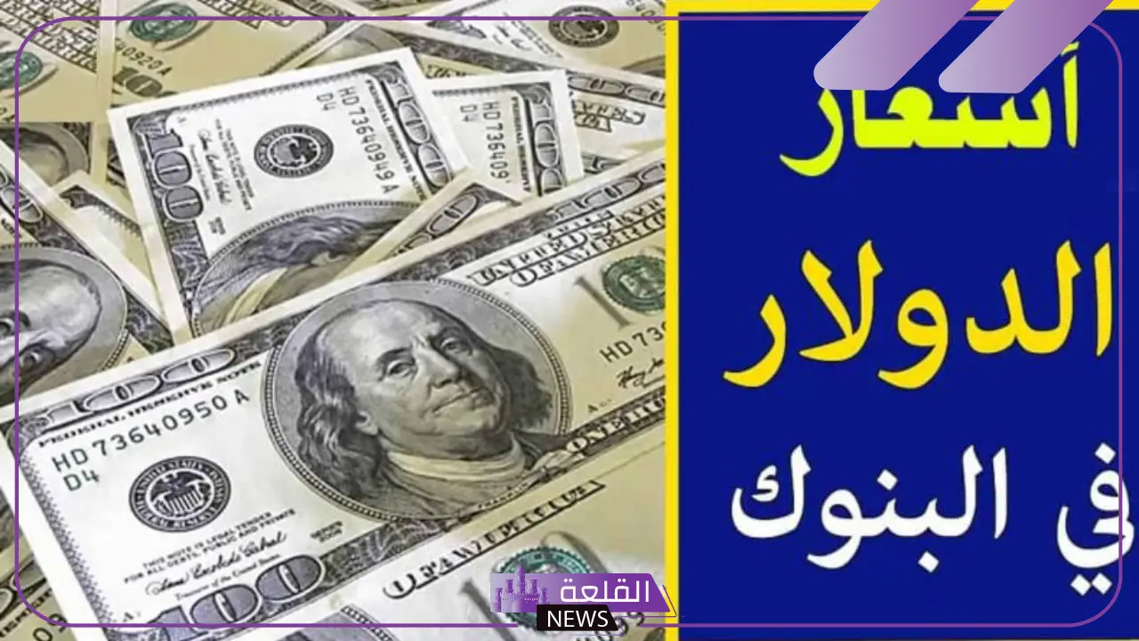 الدولار وصل كم؟ سعر شراء الدولار الأمريكي مقابل الجنيه المصري اليوم 5 أسعار الدولار اليوم