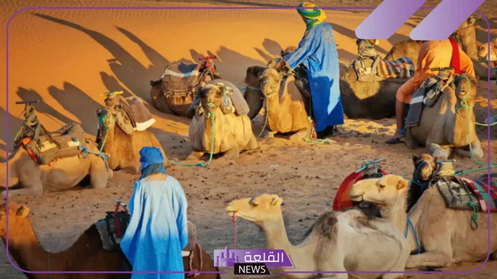 الجربوع وش يرجعون النسب.. فروع عائلة الجربوع 5 فروع قبيلة الجربوع