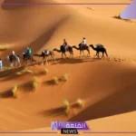العلوي وش يرجع.. بطون قبيلة العلوي وفروعها