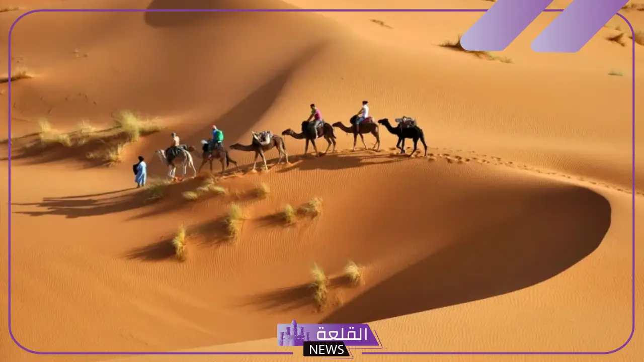 العلوي وش يرجع.. بطون قبيلة العلوي وفروعها
