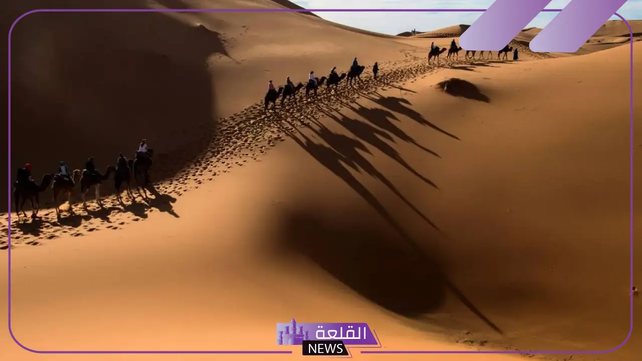 السحيباني وش يرجع.. شجرة قبيلة السحيباني وفروعها
