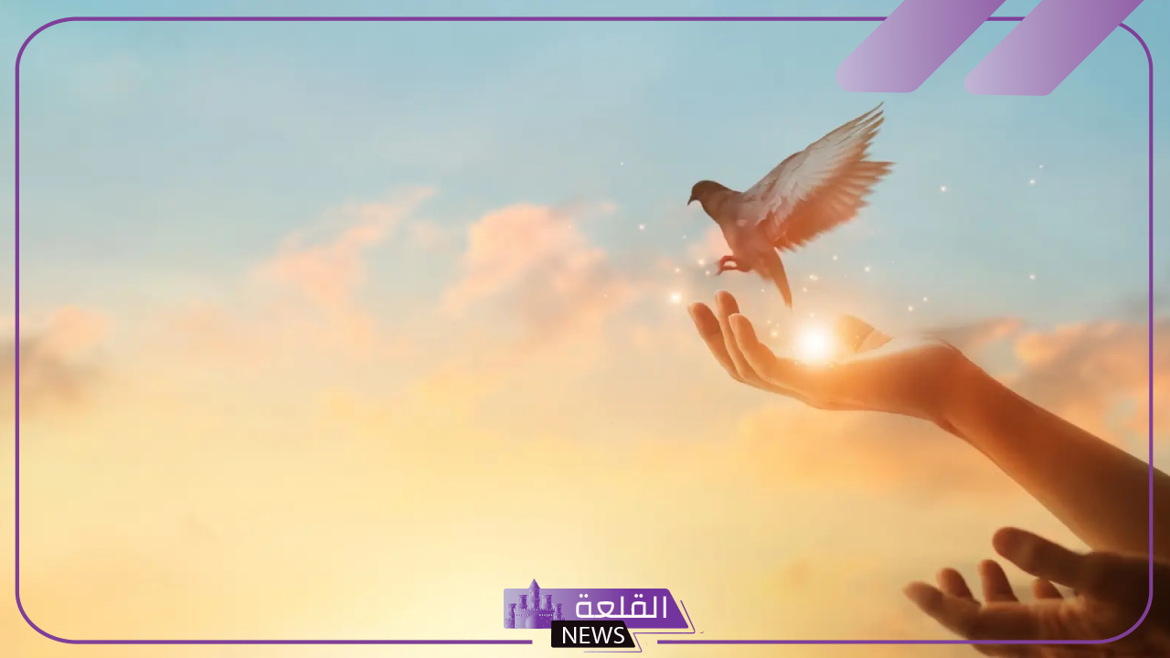 عبارات صباحية إيجابية لدعم الأصدقاء والأحباب