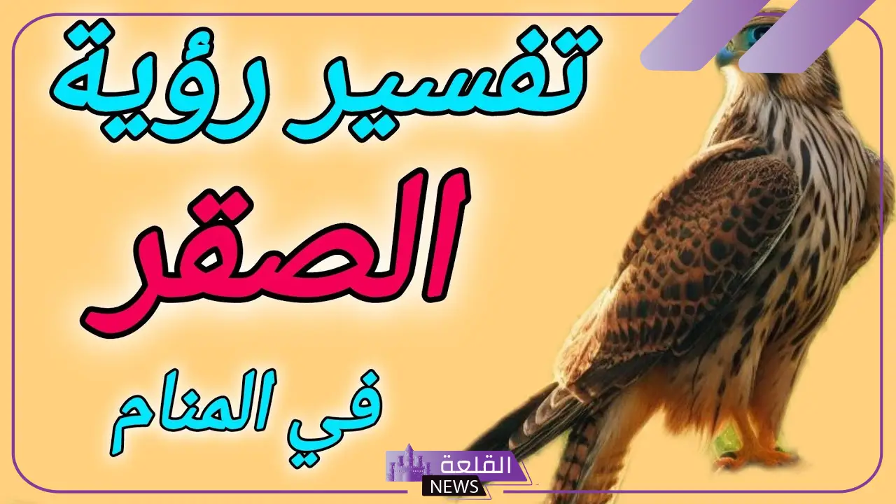 تفسير حلم الصقر في المنام لابن سيرين وعلاقته بقدوم الخير وتحقيق الأمنيات 6 هجوم الصقر في المنام