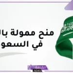 بهذه الضوابط.. طرق الحصول على منح دراسية لغير السعودية من الداخل والخارج