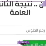 وزارة التعليم.. إعلان نتيجة الدور الثاني ثانوية عامة 2024