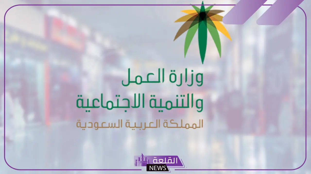 الضمان الاجتماعي.. طريقة الاستعلام عن نطاق المؤسسة باستخدام رقم الهوية