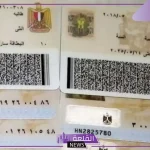 بـ 6 طرق.. كيفية استخراج بطاقة الرقم القومي في مصر بطرق متنوعة والرسوم
