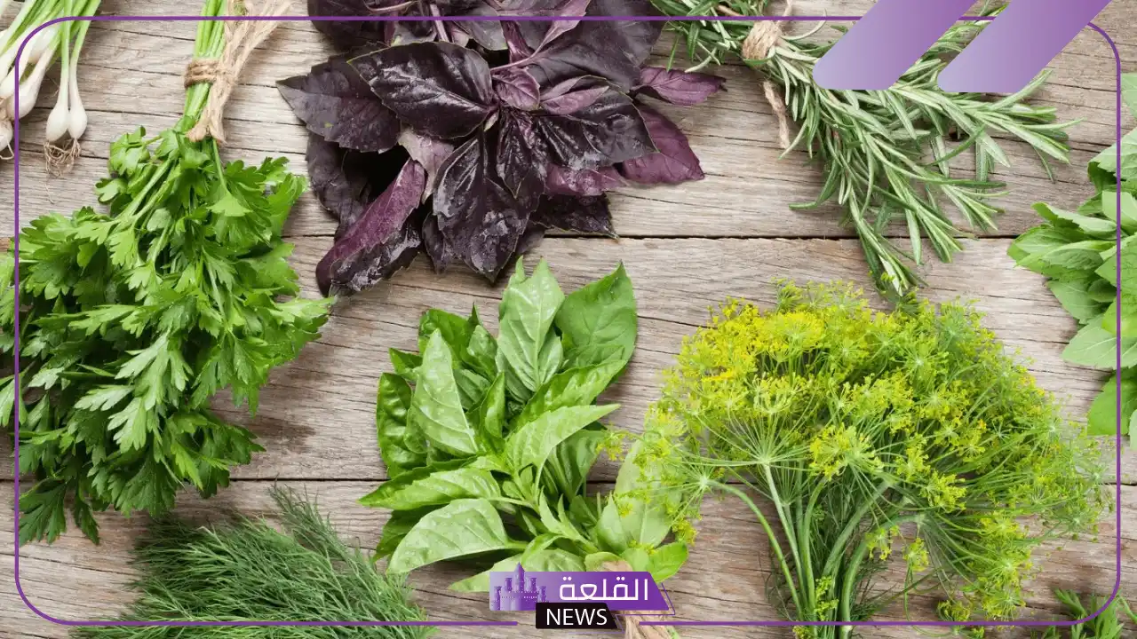 تجربتي في التخلص من الاملاح بالأعشاب والأدوية 5 علاج الأملاح بالأعشاب مجرب
