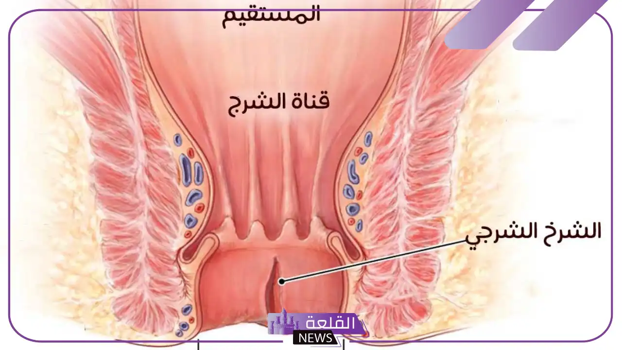 تجربتي في علاج الشرخ بالليزر بالمميزات 5 أفضل مرهم لعلاج الشرخ