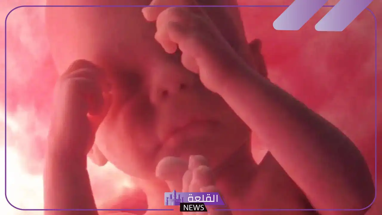 تجربتي مع زيادة الماء حول الجنين وتأثيرها على الولادة 6 مضاعفات زيادة ماء الجنين