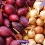 بعد الزيادة.. سعر كيلو البصل والخضروات اليوم الثلاثاء 29 أكتوبر في مصر 2024