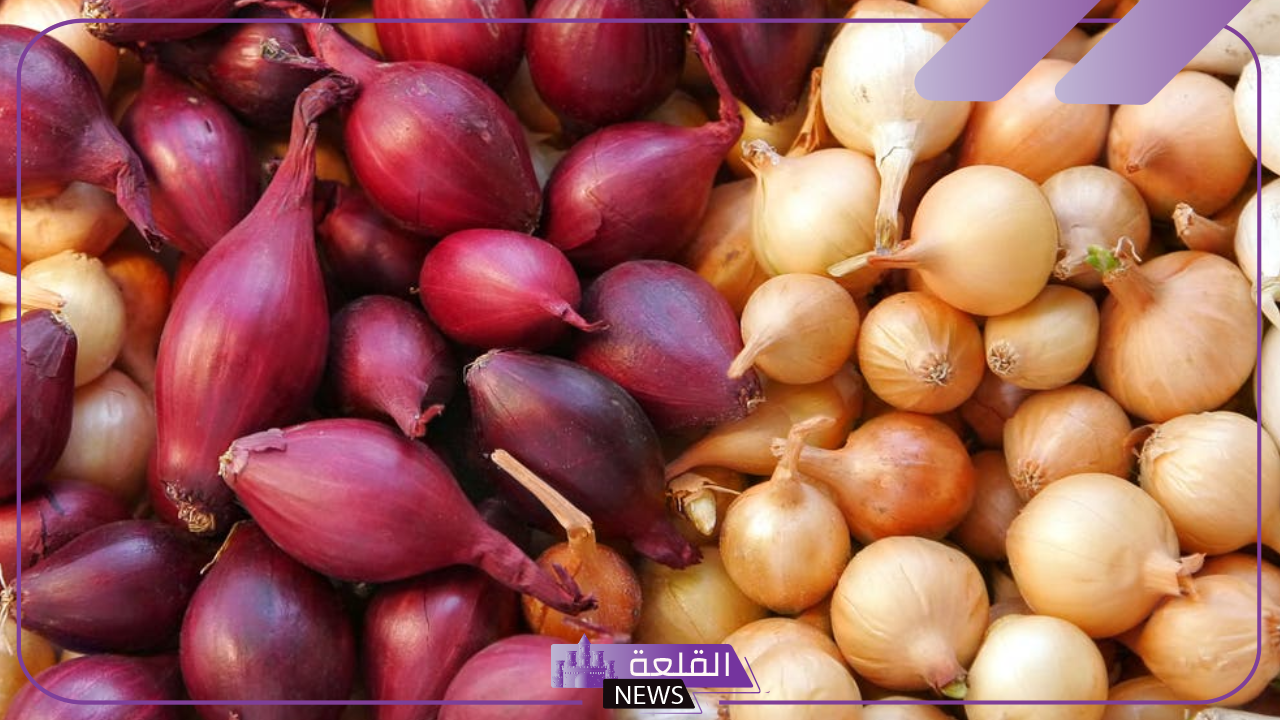 بعد الزيادة.. سعر كيلو البصل والخضروات اليوم الثلاثاء 29 أكتوبر في مصر 2024