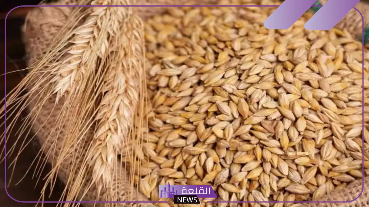 أسعار أكتوبر.. الأسعار الجديدة لطن الأرز الشعير اليوم الثلاثاء 1 أكتوبر 2024
