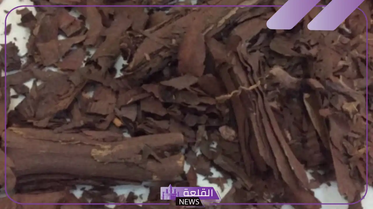 تجربتي مع الخوا جوا للتضييق والنتيجة 6 خوا جوا وزيت الزيتون للتضييق