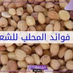 تجربتي مع المحلب للشعر وتكثيفه بالفوائد والوصفة