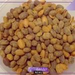 تجربتي مع حبة الملوك وطرق الاستخدام لتنظيف البطن والأضرار