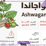 تجربتي مع حبوب اشواق كبسولات .. طريقة استخدام حبوب أشواق